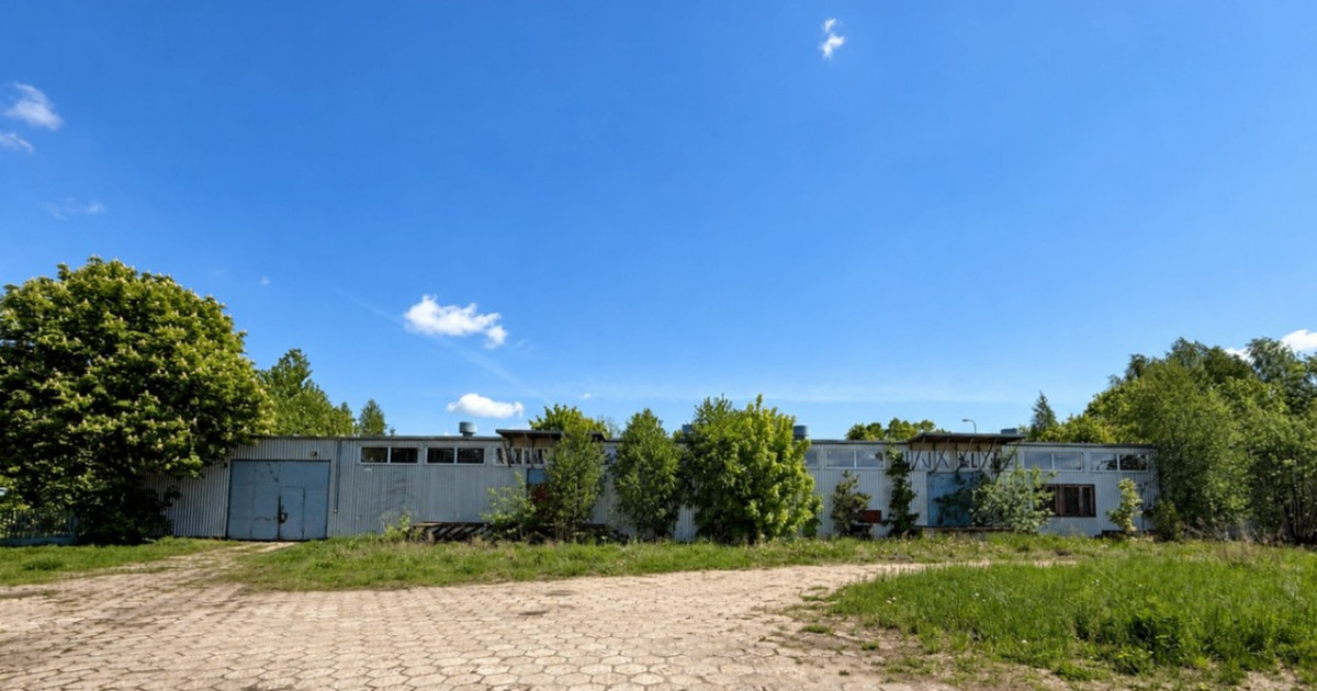 Lokal handlowy, usługowy na sprzedaż - Widok 2