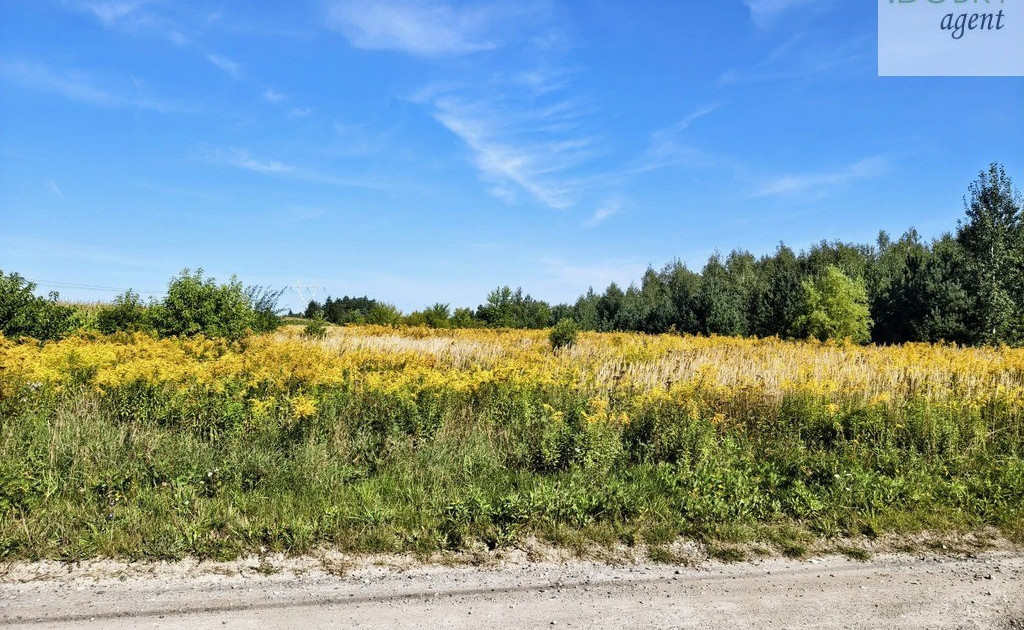 Działka na sprzedaż - Widok 2