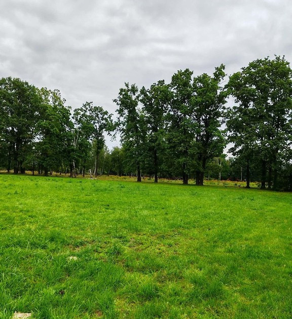 Działka na sprzedaż - Widok 2