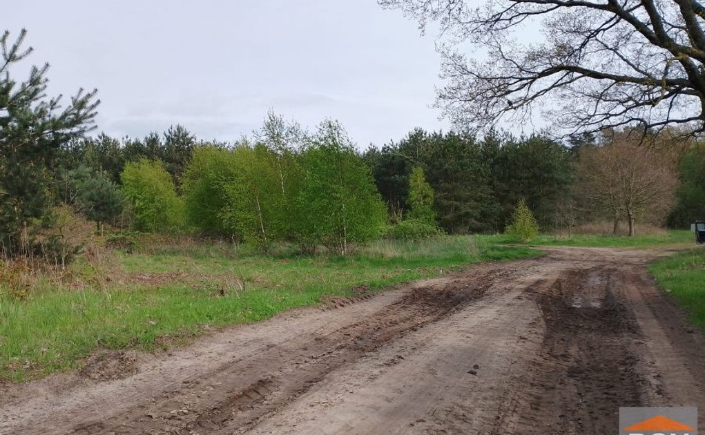 Działka na sprzedaż - Widok 2