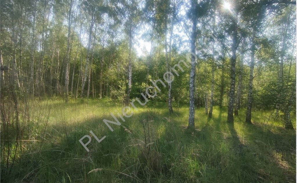 Działka na sprzedaż - Widok 2