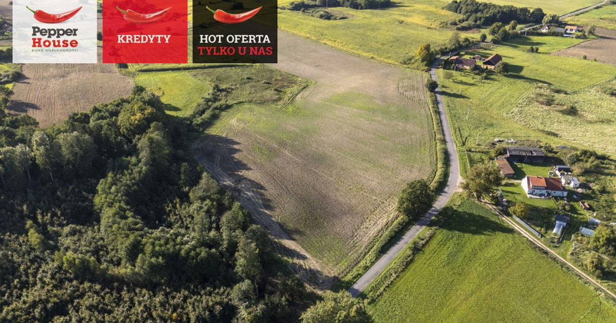 Działka na sprzedaż - Widok 2