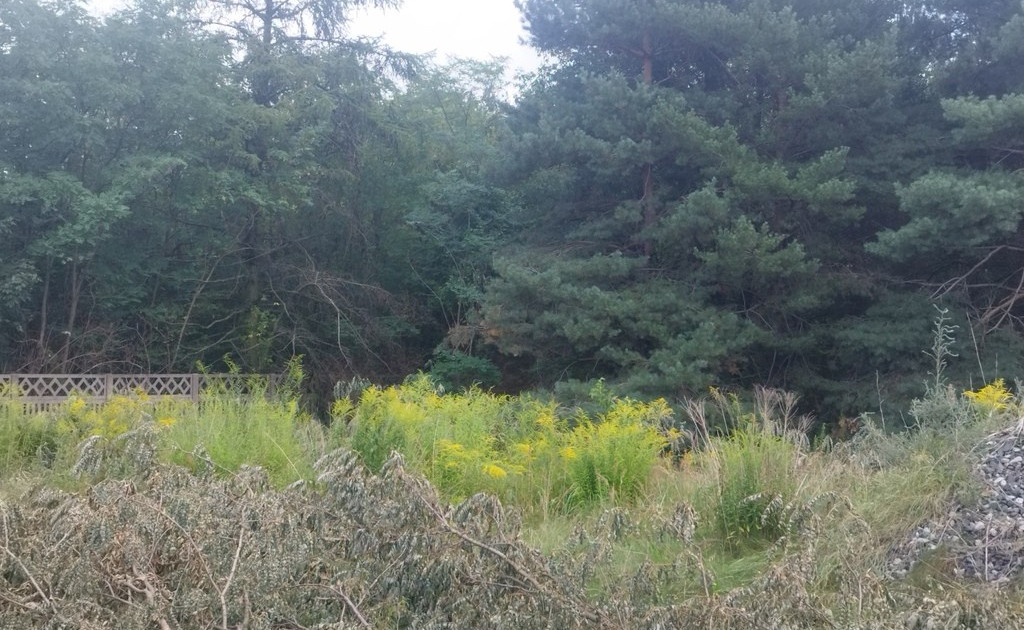 Działka na sprzedaż - Widok 2