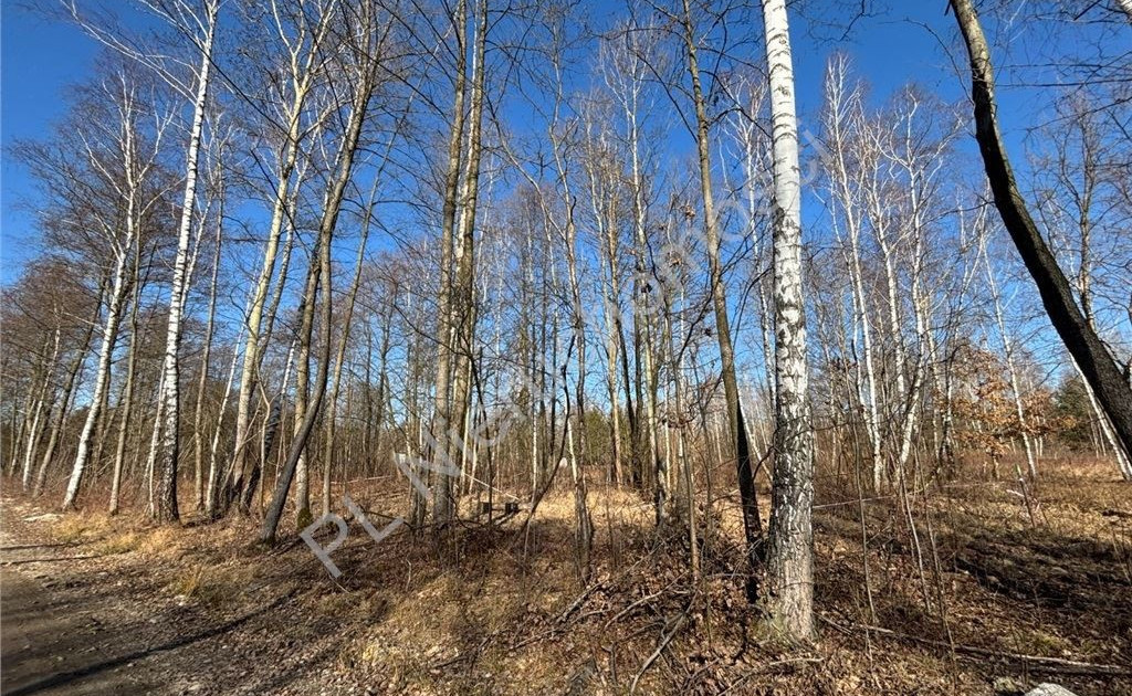 Działka na sprzedaż - Widok 2