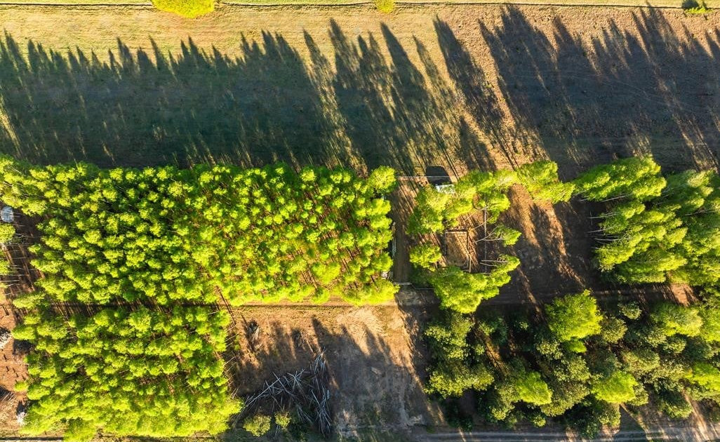 Działka na sprzedaż - Widok 2