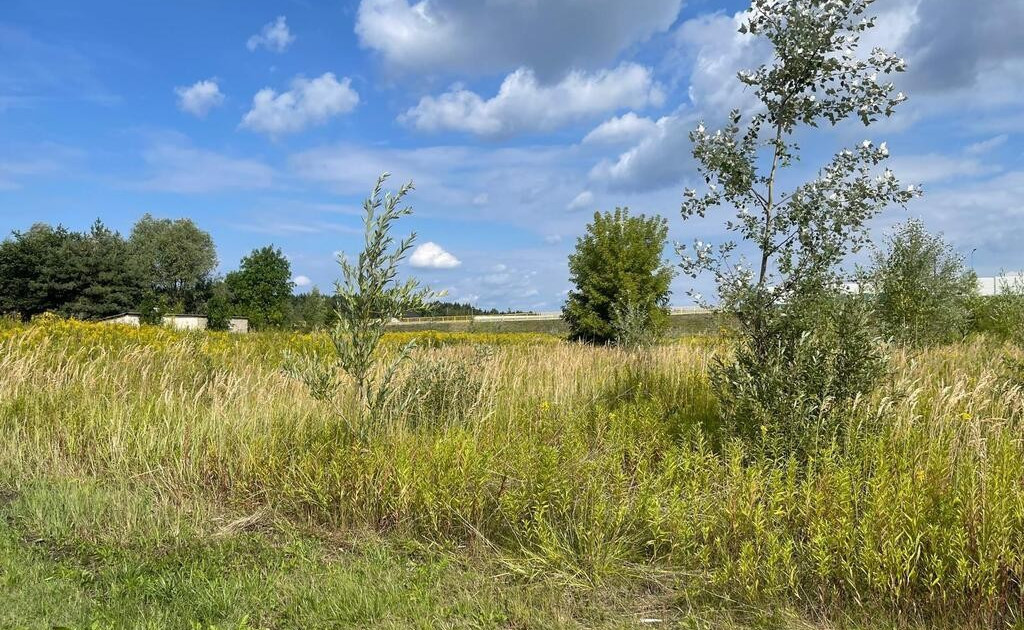 Działka na sprzedaż - Widok 2