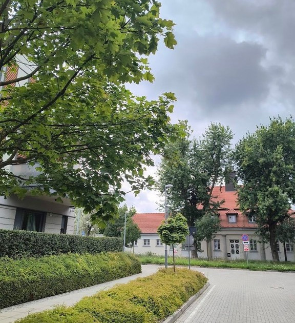 Mieszkanie – Wilda - Widok 2