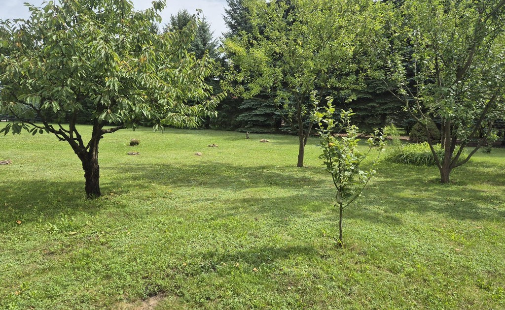 Dom – Błonie - Widok 2