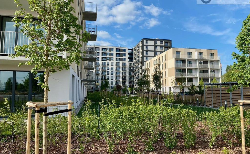 Apartment in Widzew - Widok 2