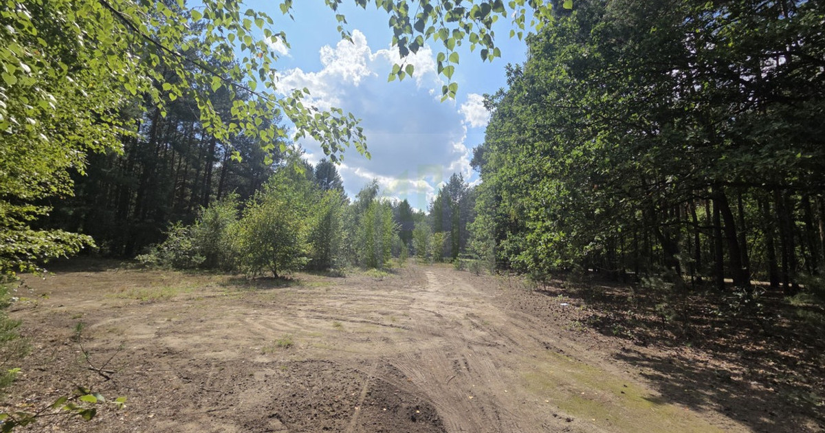 Działka na sprzedaż - Widok 2