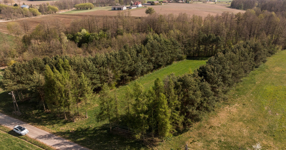 Działka na sprzedaż - Widok 2