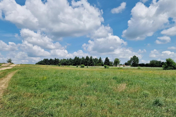 Zemljište, 3000 m²