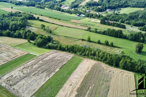 Działka z widokiem 7842 m² | Łubno, Dynów