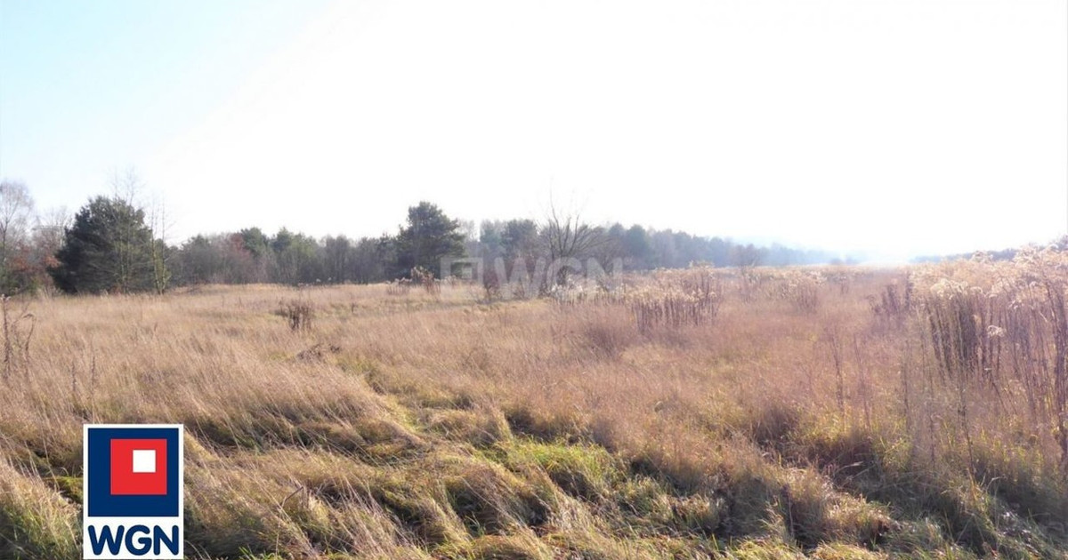 Działka na sprzedaż - Widok 2