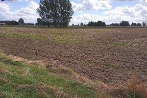 Działka na sprzedaż, 99100 m², Szadek Rzepiszew