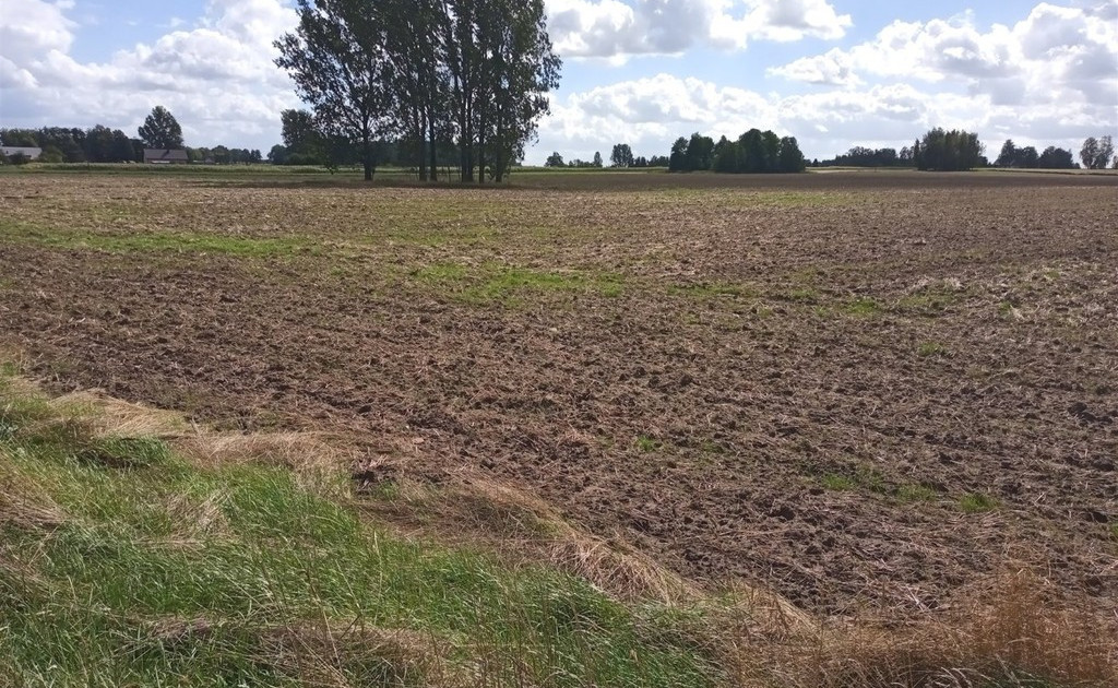 Działka na sprzedaż - Widok 2