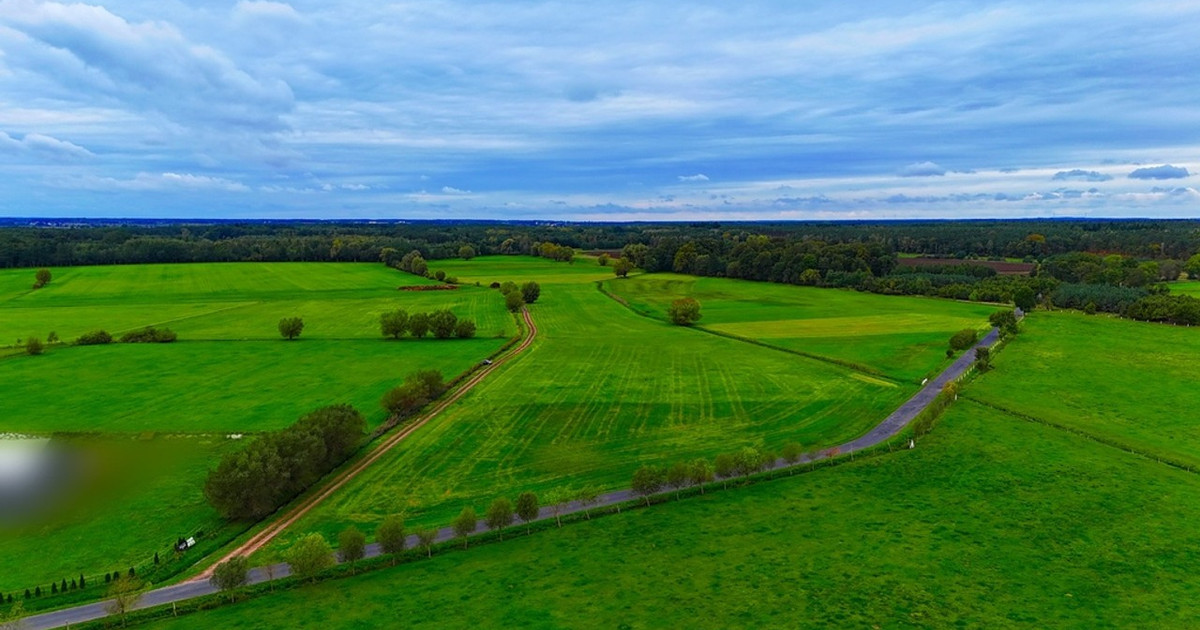 Działka na sprzedaż - Widok 2