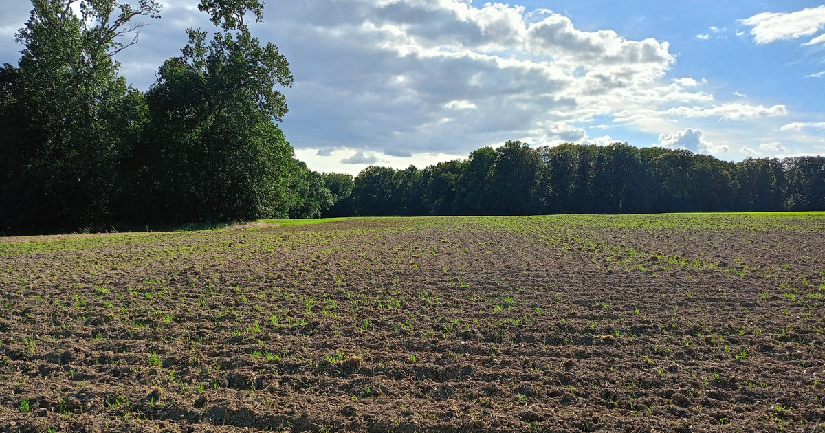 Działka na sprzedaż - Widok 2