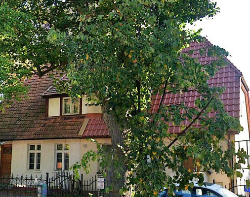 Dom na sprzedaż