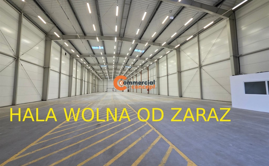 Hala, magazyn do wynajęcia - Widok 2