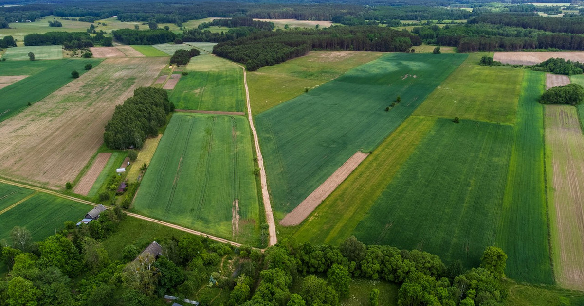 Działka na sprzedaż - Widok 2