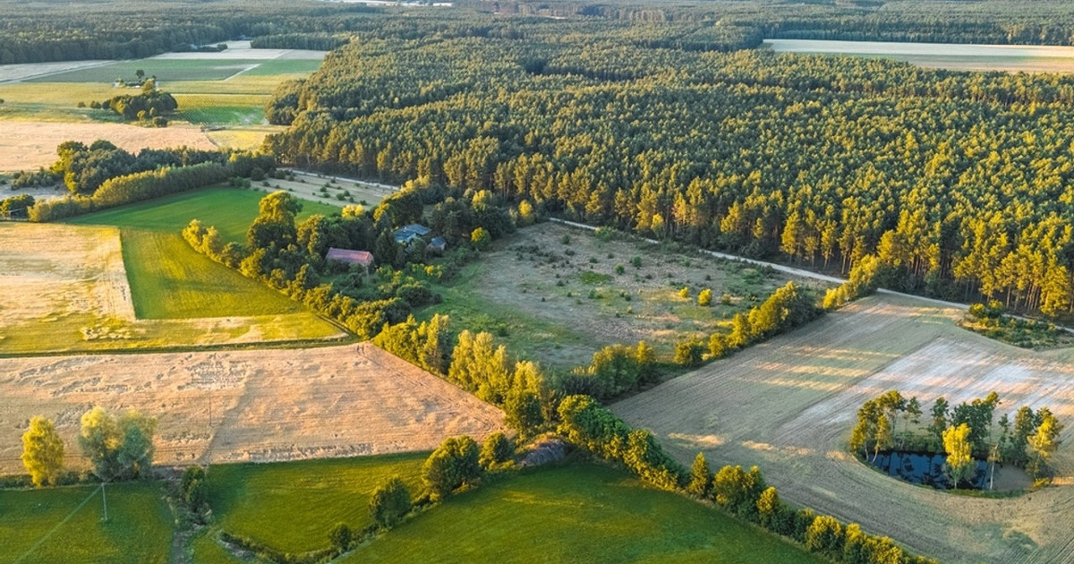 Działka na sprzedaż - Widok 2