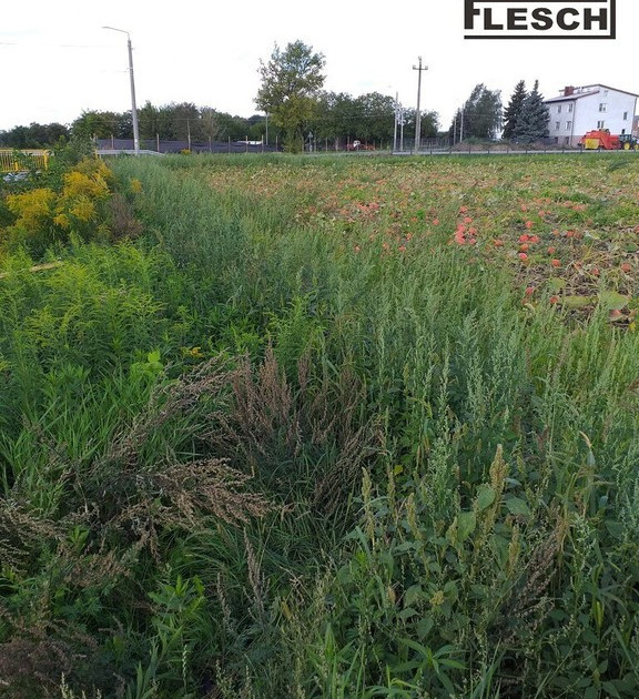Działka na sprzedaż - Widok 2