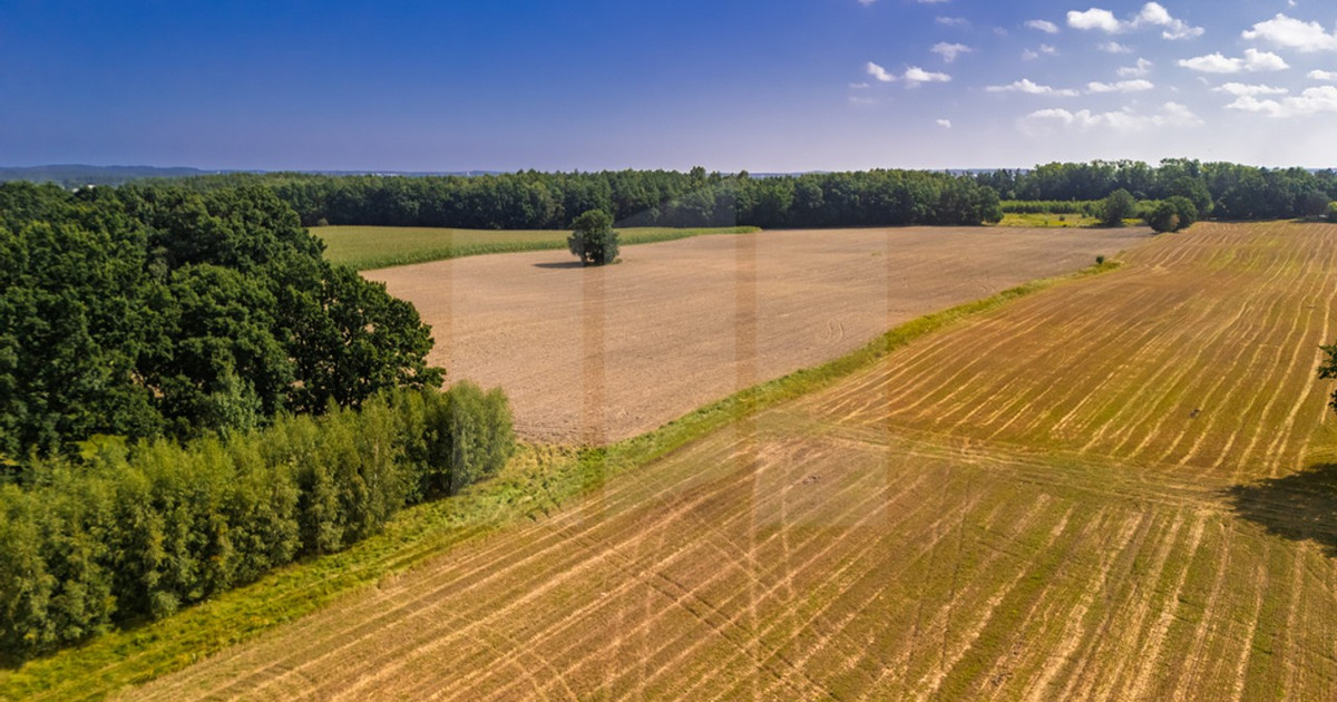Działka na sprzedaż - Widok 2