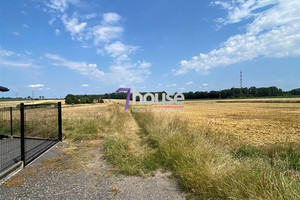 Działka na sprzedaż, 8848 m², Zbrosławice Wieszowa