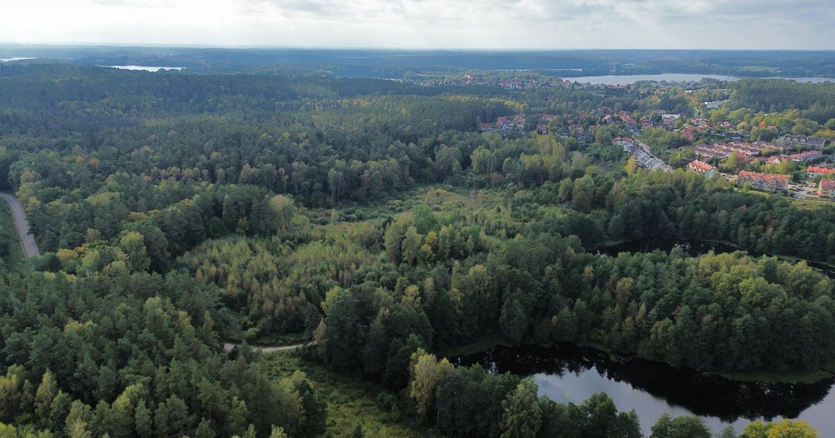 Działka na sprzedaż - Widok 2