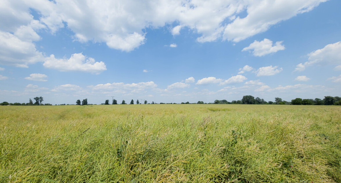 Działka na sprzedaż - Widok 2