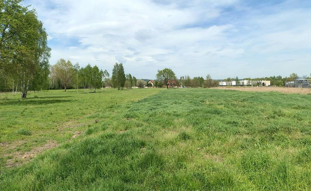 Działka na sprzedaż - Widok 2
