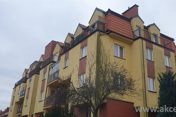 Mieszkanie do wynajęcia