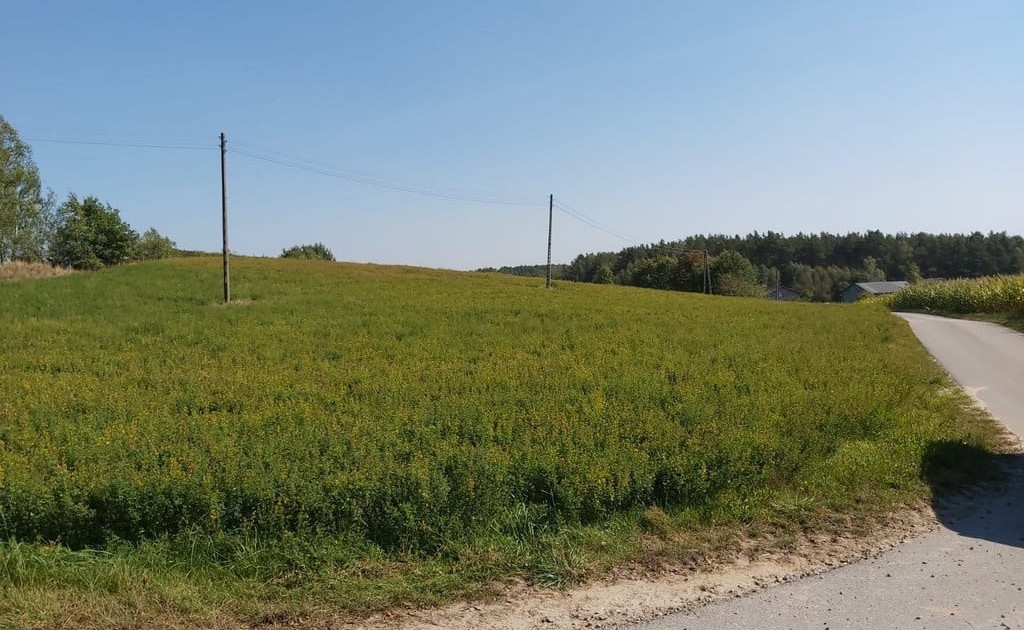 Działka na sprzedaż - Widok 2