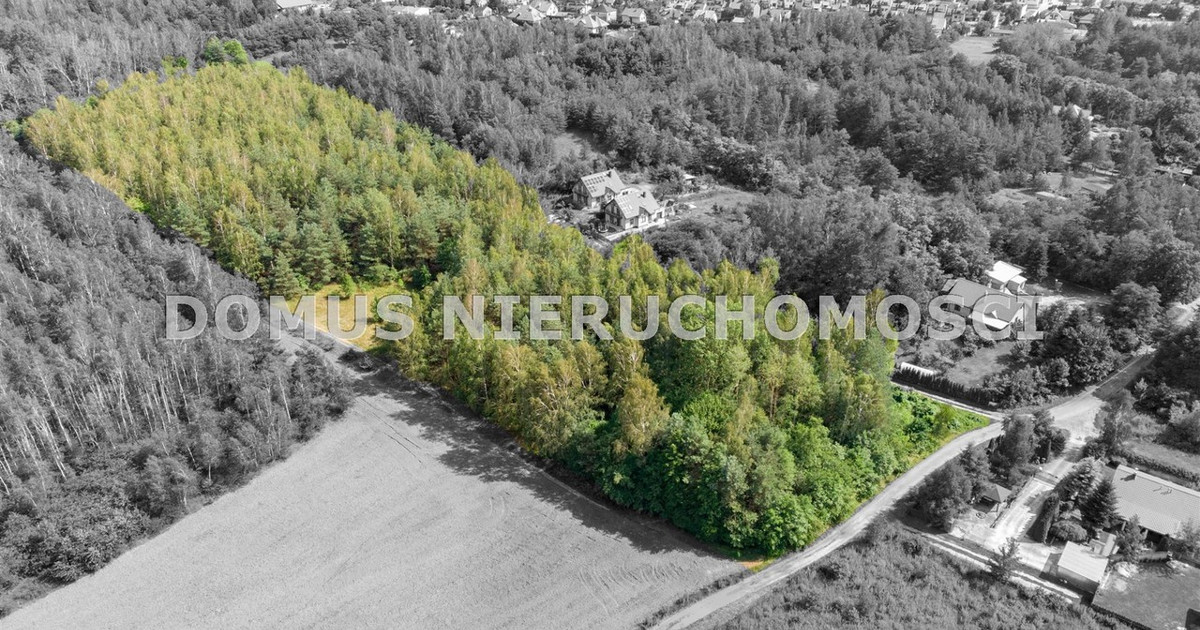 Działka na sprzedaż - Widok 2