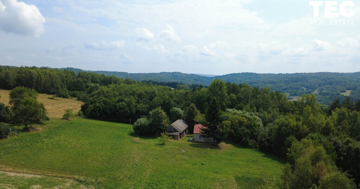 Dom – Dubiecko - Widok 2
