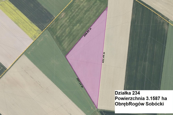 Парцел, 31587 m²