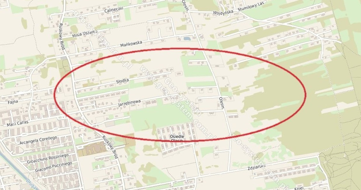 Działka na sprzedaż - Widok 2