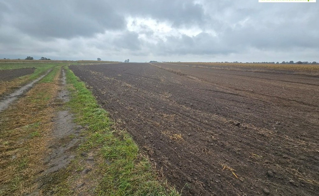 Działka na sprzedaż - Widok 2