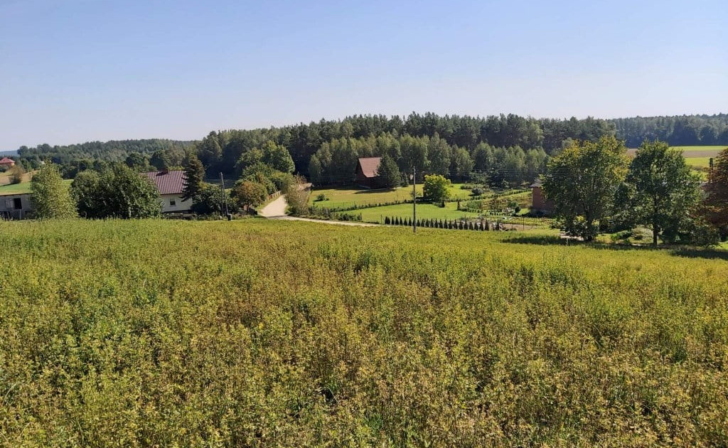 Działka na sprzedaż - Widok 2