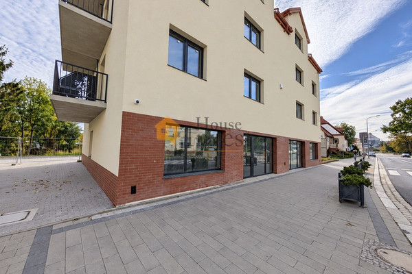 Lokal handlowy, usługowy do wynajęcia