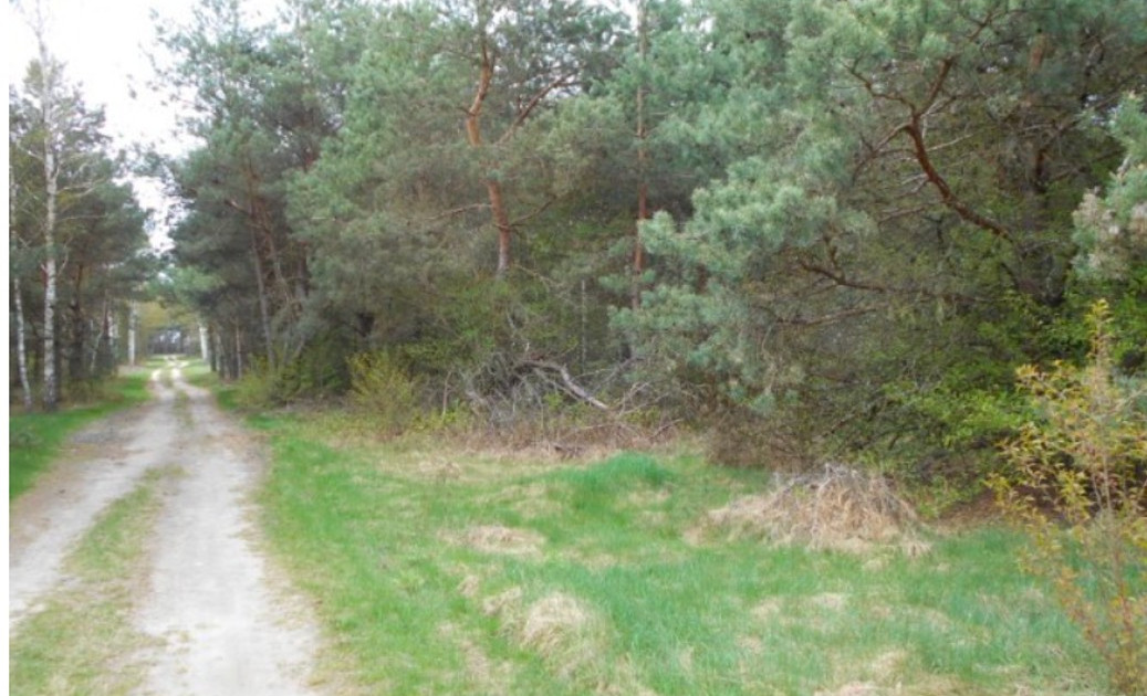 Działka na sprzedaż - Widok 2