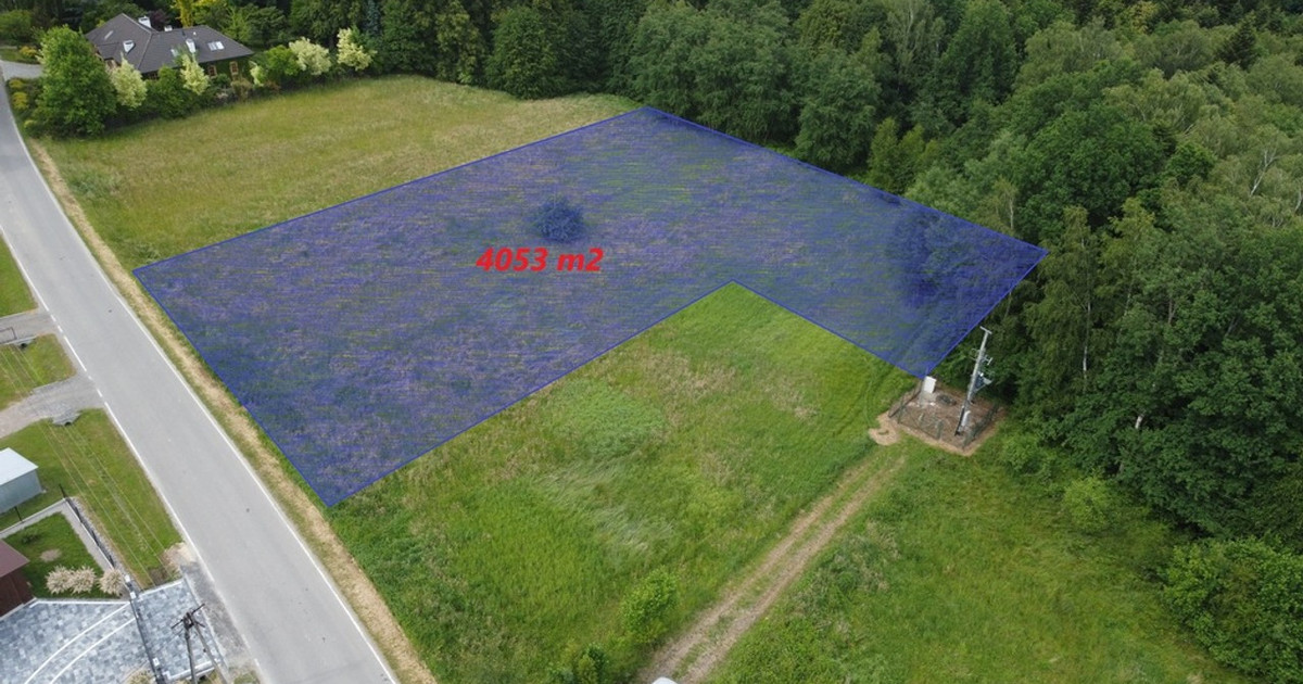 Działka na sprzedaż, 4053 m², Myślenice Głogoczów - Widok 2