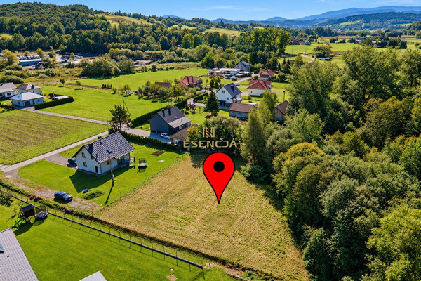 Art, 1683 m²