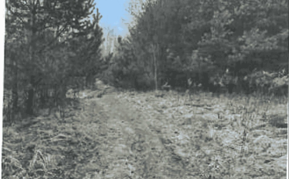 Działka na sprzedaż - Widok 2