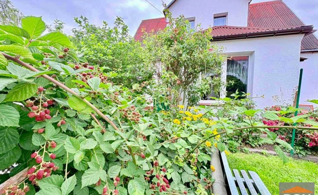 Dom – Trzebiatów - Widok 2