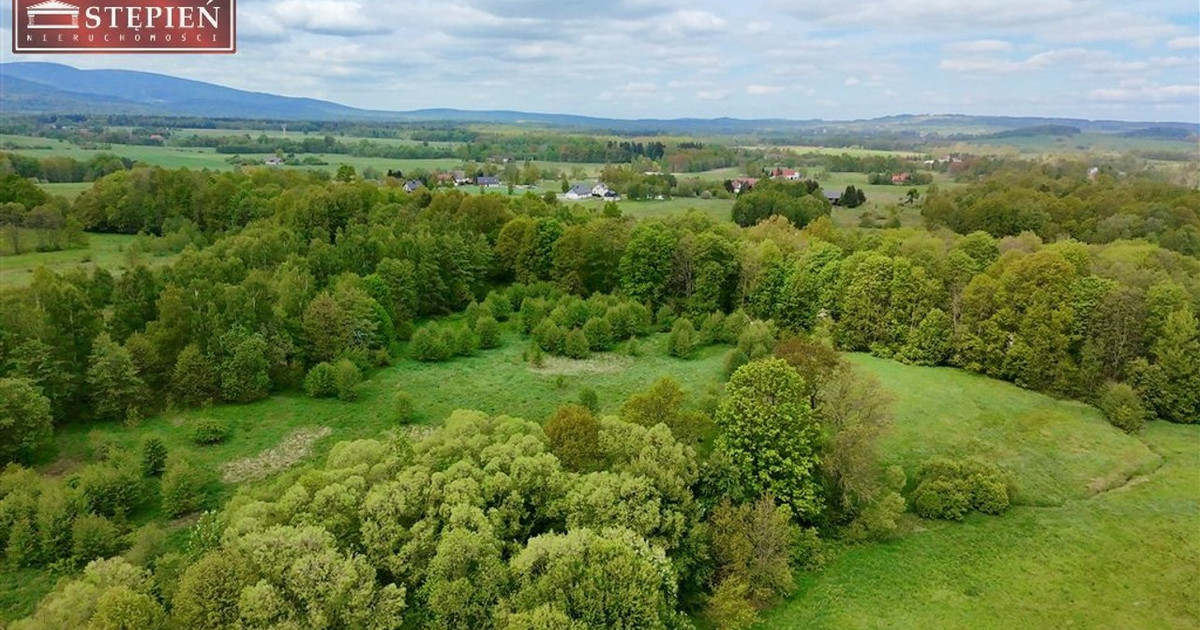 Działka na sprzedaż - Widok 2