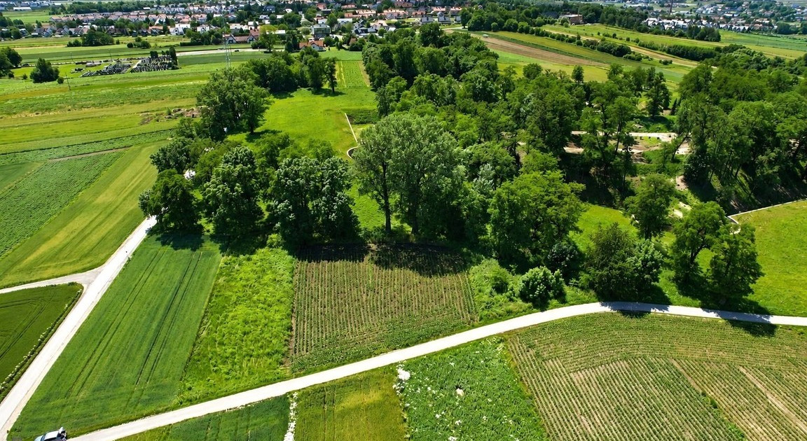 Działka na sprzedaż - Widok 2
