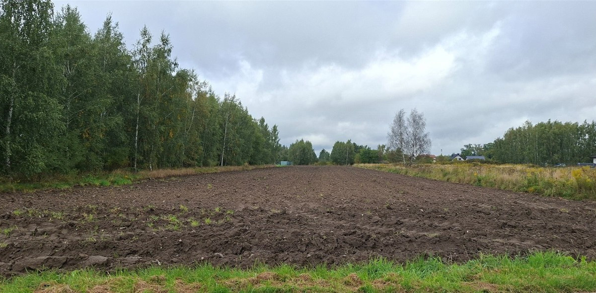 Działka na sprzedaż - Widok 2
