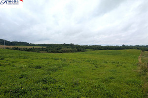 Książnik, gm. Miłakowo - działka rolna